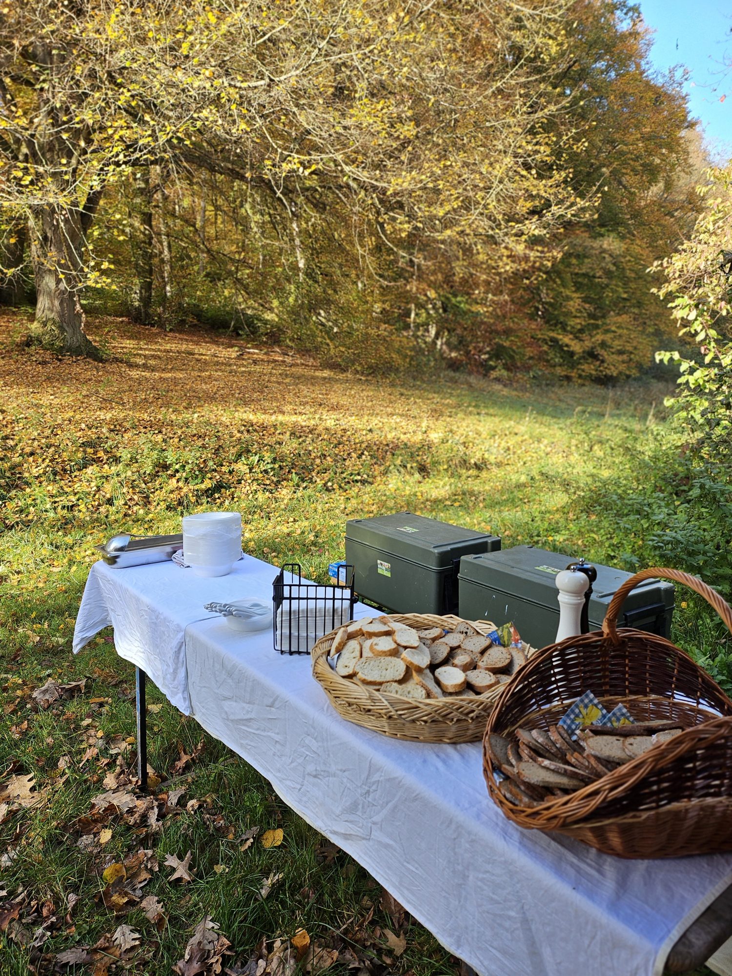 Buffetaufbau im Wald