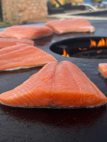 Frische Lachsfilets auf dem Plancha-Grill beim Catering